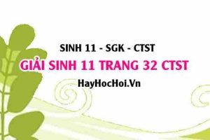 Giải Sinh 11 trang 32 Chân trời sáng tạo SGK